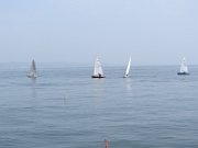 IMG 4275