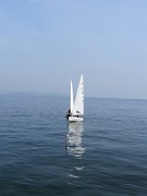 IMG 4281