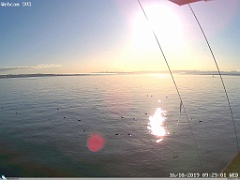 cam005