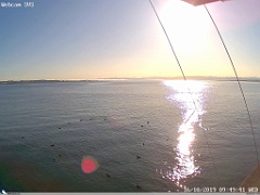 cam006